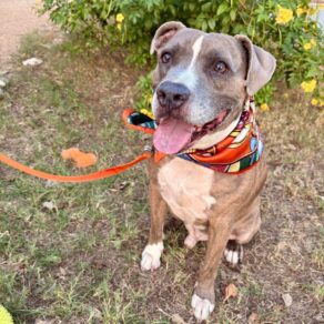 001c150a7b824b4d0a55b6db103b0253