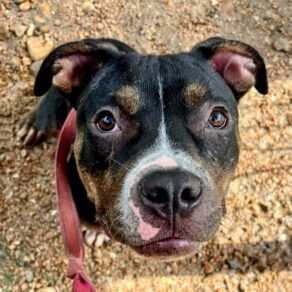 00454535bec411d5ed5144b9af4020cc