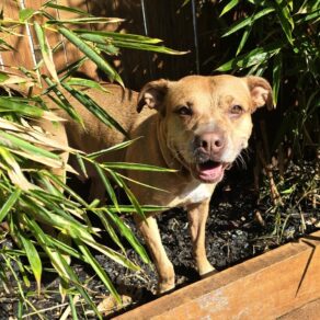 005760eda50998a2b88cd011e24d1b59