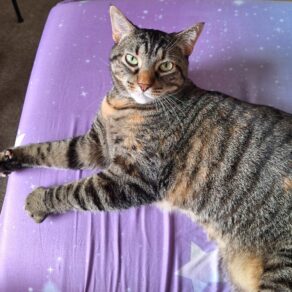 0264ac1143e632c93667a97c1c780888