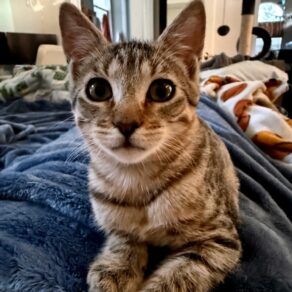 02a58e03cb6bf8959b661882f35d5862