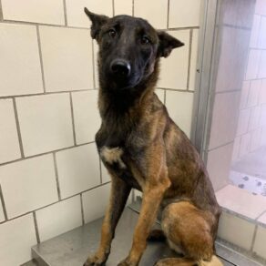 046400d76585be2014dc79fb5eda173f