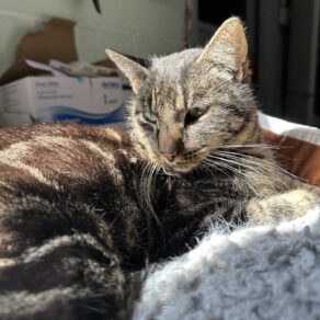 04a0522b1ec2479f44b6a1a021c25357