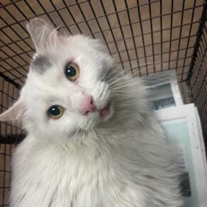 062ca1dd3bb267b55124dbb86292dd86