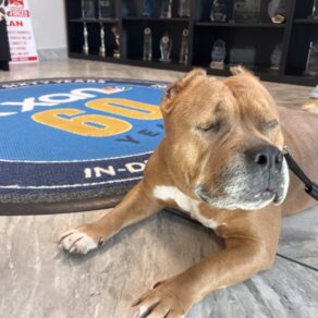 06c9e8b1d20cfceb75f96c86940c0d01