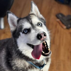 06d3bb0aff80f0214e2c86238c87f8a7