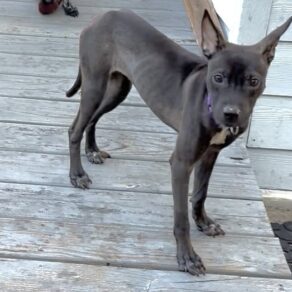 06f6bb00fc1a04d6dd17c625f7e0554c