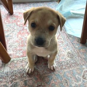 0727636862e6591f3e2a21def8de0b61