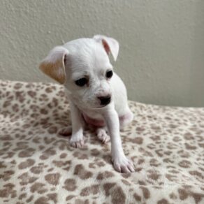 0759602afac82dbdaaeba2984e708692