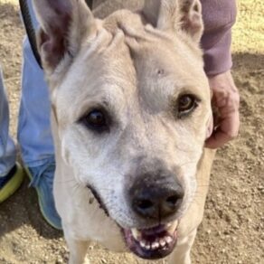 0761bed8785dec8447c281806e588aa5