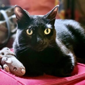 0a5e1f72a5f619f4c9bc85f39b56f8d9