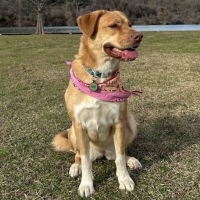 0d30716dc80a59dedefa617646e5b031