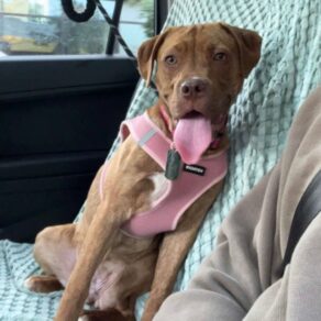 0e199ab6e7a50e06ae75545f9ee1a4b1