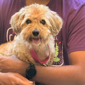 0e9923a9d8f6b9ea051de8cd873c83f4