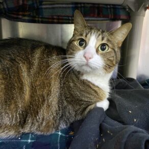 0f12cdbd95619a6d2584da59547eec6c