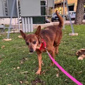 0fdeb0397c30e4c9ac6b99f2c8a6b9da