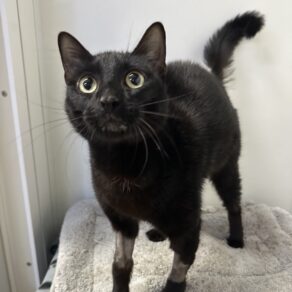 112d8033fc453414ae8b3c383ca57eb4