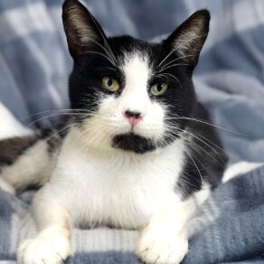 123b6e4b74a67e350d67a282a1dda413