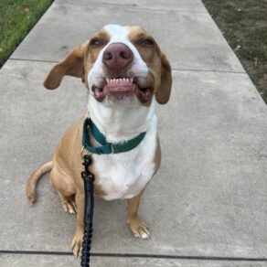 14309931b5e85d2f643ebebe3aa2d6ad