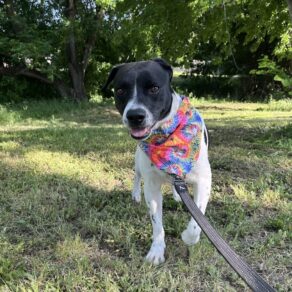 15fd59077d327623bdef5b4df400ad7b