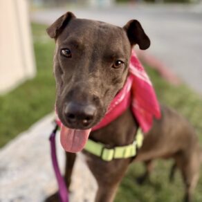 16b889cf72d8db50b6e15edb90c9bdc1