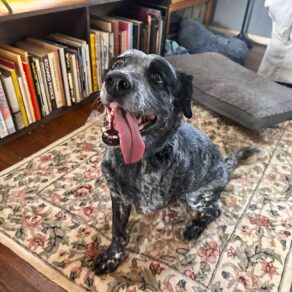 184fc12f604bf06808157d562eb56512