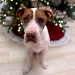 196251ff9e63705c7ac8f57ec8705dd2