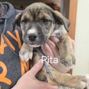 1a2065ed52bb360e7df292ab5d39470f