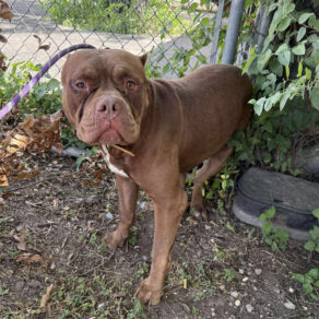 1ac4f8c4214e1e4e1a16d52bc3d8af0c