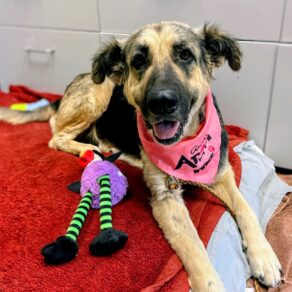 1c95557a99ef9b7d581e4ba17c744ee9