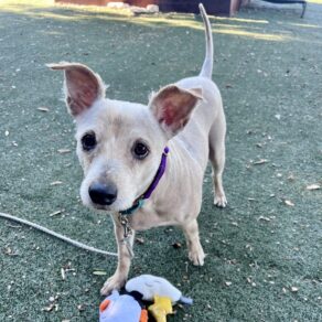 1d27d3712e10b4a579f6fc06f1662df7