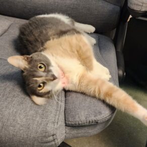 1ebd25490e58e0264eef5637c05b9207