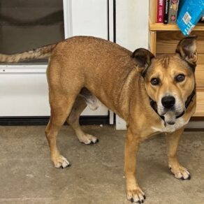 1ffb251dbca163d1b74356e891feedeb