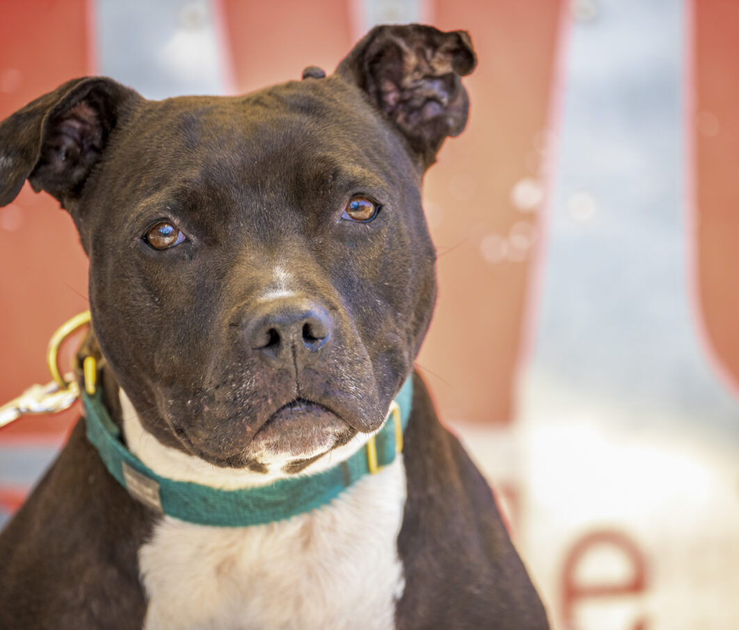 20250301 APA Seniors 8 Saved