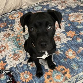 207598913c8cf7b2de7044d63c7f1f0c