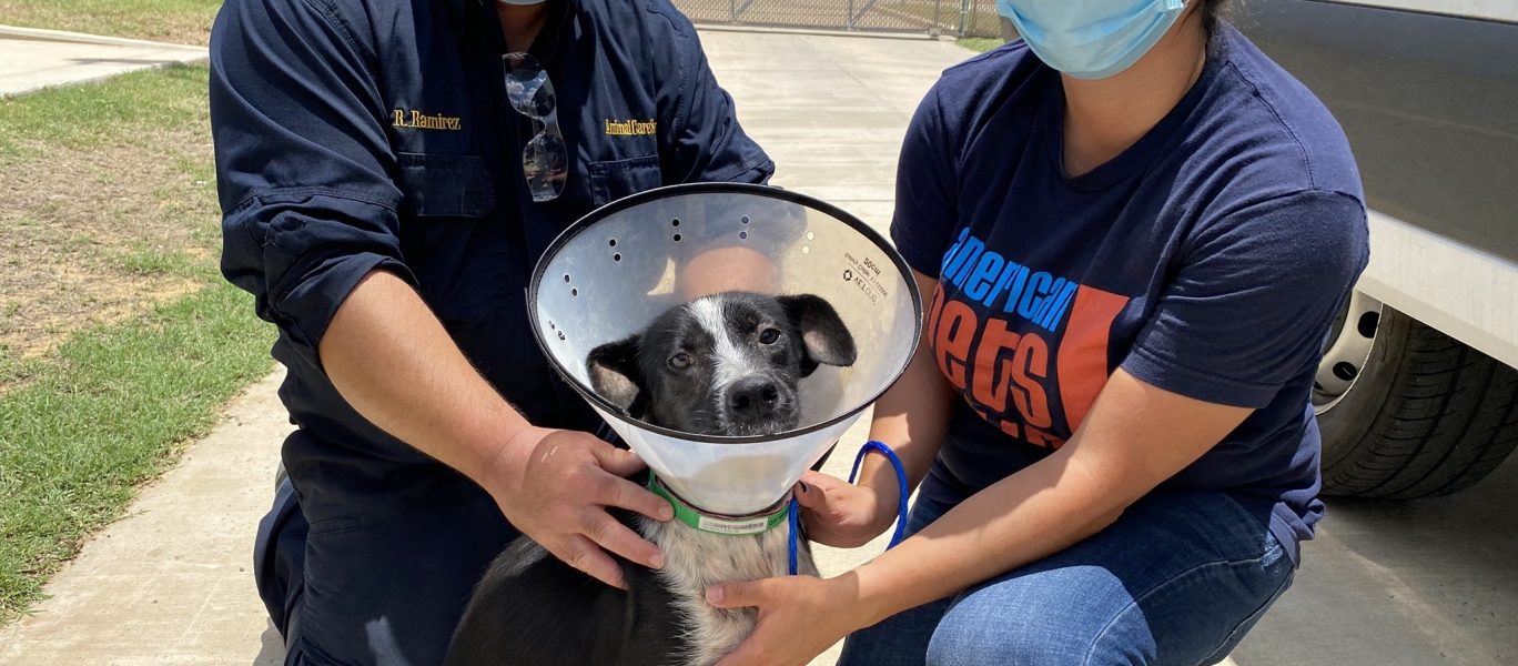 209854720 10159949362209066 1375467310019658920 n