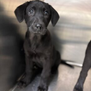 23cee9a454a2196b398639dd3c84d139