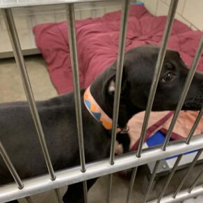 23cf9a77154e04e0718cf32b9bcc189b