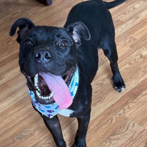 24a0ac7ae401516d31d0e6d18aa7c604