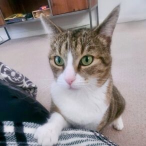 24be7a5485693b7d37043d119d730819