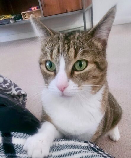 24be7a5485693b7d37043d119d730819