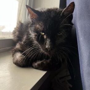 264eef9ba8a8db89a4ce85e75cc7b6a2