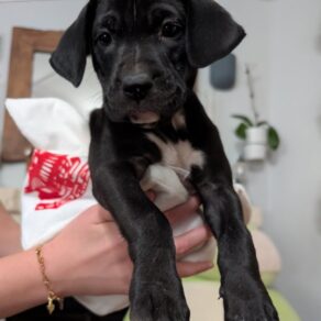 27ea1b2f2623b42b06d0cdc599c35dd9