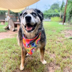 27f16bad8925e948b9144b48c8b515ea