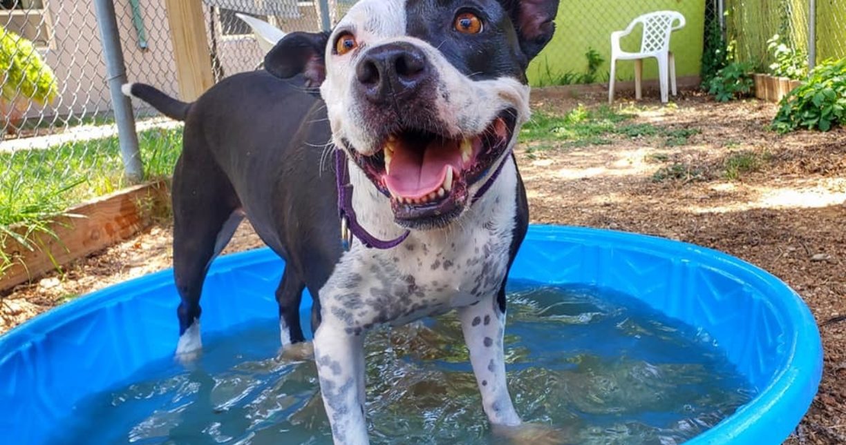 286464993 10158854650771408 204126051623143279 n