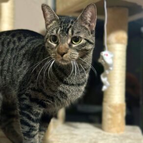 28d89783f1f6a7c4e61bbbfa3da19e41