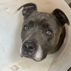 2a52ecec97b392494e70e3ac4ac75b86