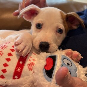 2c2b075f0566cb908838fe7c5a7f1226