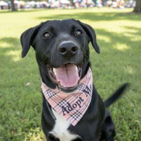 2db9a9376f7cd417160015d3211c4e99