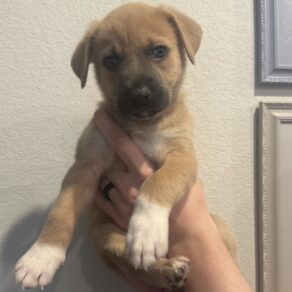 2e40076b17523913f31cce38fd465497